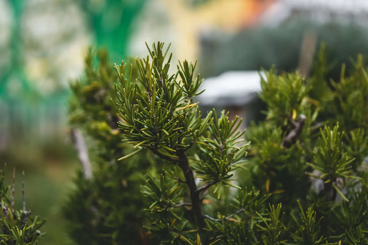 Landscapers marketing advice